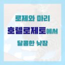 모텔로제 이미지