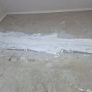 4481 | 인천 계양구 LX하우시스 장판 시공 엑스컴포트 5T 크리마마필 화이트 XCF4481 시공 후기