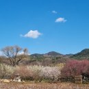 남평문씨본리세거지 주차장 이미지