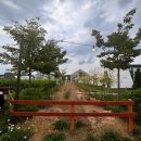 창락제3농로 | 논뷰에 버터떡까지 🌾 청주 대형카페 토성마을 Farm &amp; Cafe 솔직 후기
