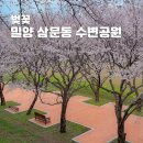 충장공원(풋살구장) | 경남 벚꽃 명소 밀양 삼문동 수변공원 피크닉