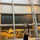 싼보름달피자 | [보라카이 여행] 7박 8일 보라카이 여행 내돈내산 후기(페어웨이, 헤난 라군, 보자무싸)(쥬세페, 써니...