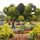 바람정원 이미지