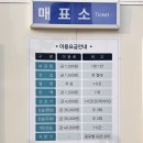 시청광장 | 서울에서 아이스 스케이트를 저렴하게 탈 수 있는 아이스링크장 - 서울 시청광장 스케이트장 데이트 후기