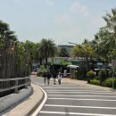 스카이라인 | [싱가포르] 싱가포르 센토사섬 놀거리 '스카이라인 루지' 이용후기 가격 코스 루트 추천 즐길거리