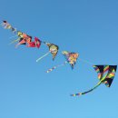 용담초교 이미지