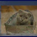 덕산온천관광단지 이미지