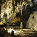 칼즈배드 이미지