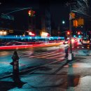 물 속 골리앗 이미지