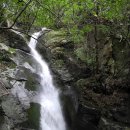 7월 23일 토요당일 - 100명산 화악산 중봉+조무락골 계곡산행 신청안내 이미지