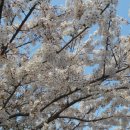 금정산성마을 이미지