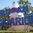 센텀서로 20 이미지