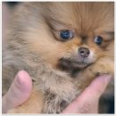 애니멀즈동물병원 | 애니멀즈동물병원에서 반려동물과 함께하는 안전한 공간을 느껴보세요! 🐾