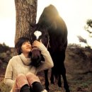 시은목장 이미지