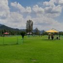 파크골프, 타수보다 매너가 중요하다 이미지