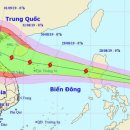 대형 태풍 4호 발생, 9월 1일 베트남 북부 중부 상륙 전망 이미지