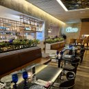 몬드리안서울이태원(MONDRIAN SEOUL ITAEWON) | 몬드리안 클레오 이태원 호텔 지중해 식당