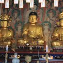 진주 청곡사 목조석가여래삼존좌상 이미지