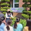 광주도평초등학교 이미지
