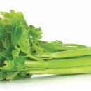 푸드짱