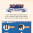 온 그루밍 이미지