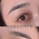 피씨엘코리아 이미지