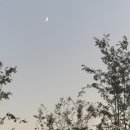 대원세탁소 | 무사히 도착하시어 안녕하시길