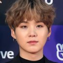 달슈가