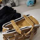 전주강아지분양 미니퍼피 가정견사 직영 이미지