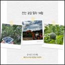 서울종합공구 | 진안귀농귀촌 슬기로운 진안생활 진안 농업 밀착 체험 후기