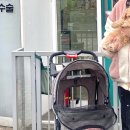 플러스동물메디컬센터 이미지