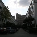 사파동128 이미지