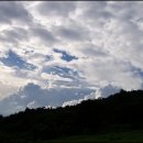 방주농장 이미지