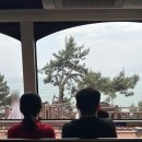 부산 해변열차 당일 예약 코스 시간 송정 해운대 왕복