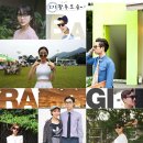 안경바라기 이미지