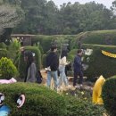 파리바게트 장승포점 | 제주 4월 제주 동쪽 가볼만한곳 BEST 3