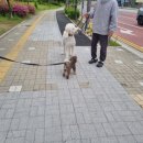 세광사 이미지
