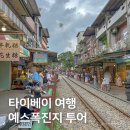 행복도시투어 | 대만 타이베이 여행 코스, 만 원의 행복 예스폭진지 투어 후기