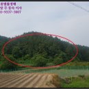 영천시신녕면부산보건진료소 네이버블로그