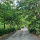 산음마을 | 양평가볼만한곳 산음캠핑에서 친구와