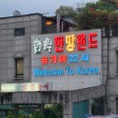 숲속애견랜드 | 서울 핫플레이스 숯가마 찜질방, 신촌 가볼만한곳 숲속한방랜드후기