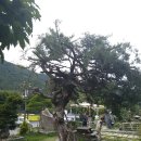 정원식당 앞 이미지