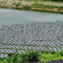 가장태양광발전소 이미지