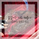 모범낚시 | 모범낚시호와 봄갑이 사냥 과연 결과는?! [홍원항 모범낚시]