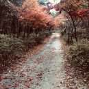 냉천골약수터 이미지
