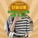 올에셋파트너스 | 곰돌이 자수가 귀여운 레드에셋 반팔티 리얼 후기
