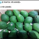 시립수청어린이집 | 세교과일아저씨네 과일을 먹어본 찐 후기
