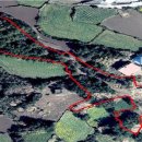 제주그루 이미지