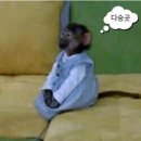 유네사진관 이미지