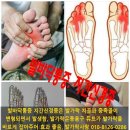 지골 이미지